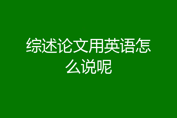 综述论文用英语怎么说呢