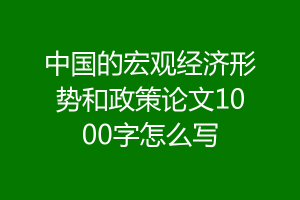 中国的宏观经济形势和政策论文1000字怎么写