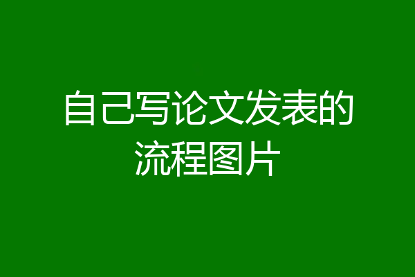 自己写论文发表的流程图片