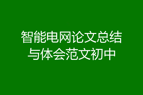 智能电网论文总结与体会范文初中