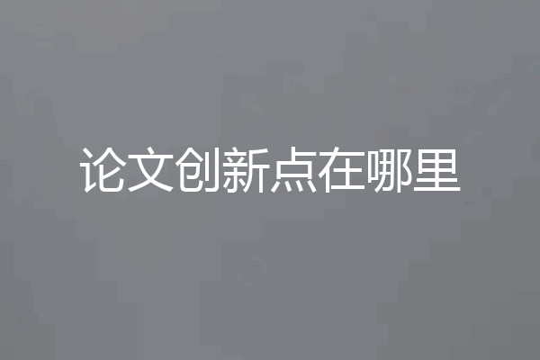 论文创新点在哪里