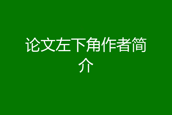 论文左下角作者简介