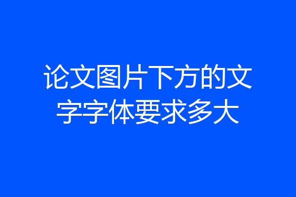 论文图片下方的文字字体要求多大