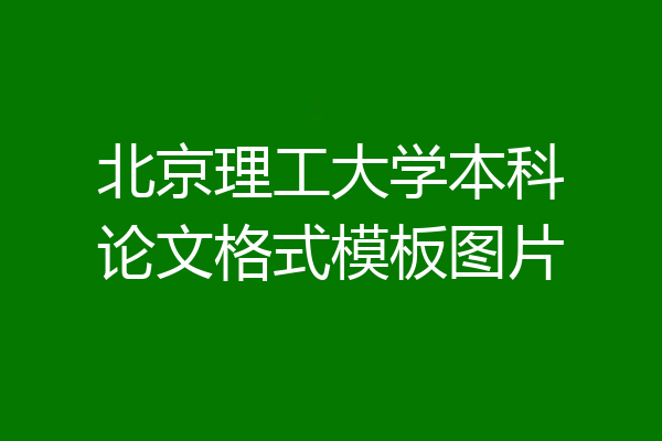 北京理工大学本科论文格式模板图片