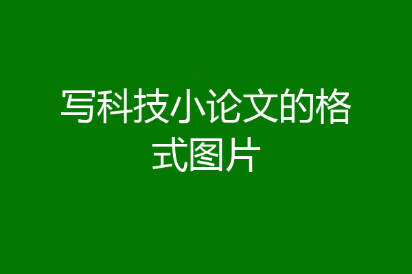 写科技小论文的格式图片