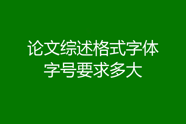 论文综述格式字体字号要求多大