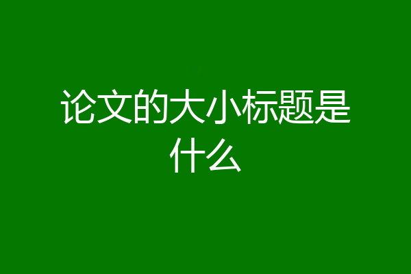 论文的大小标题是什么
