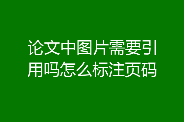 论文中图片需要引用吗怎么标注页码