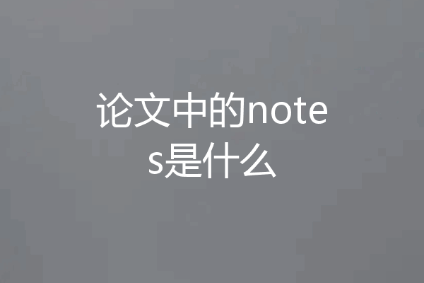 论文中的notes是什么