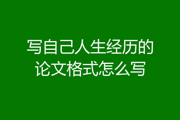 写自己人生经历的论文格式怎么写
