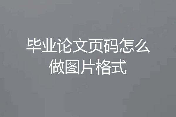 毕业论文页码怎么做图片格式