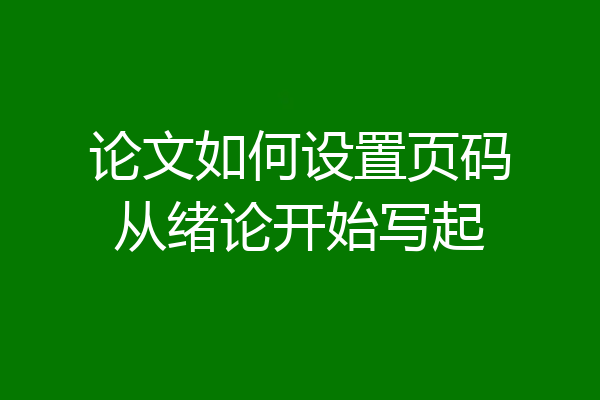 论文如何设置页码从绪论开始写起