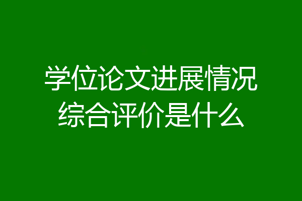 学位论文进展情况综合评价是什么