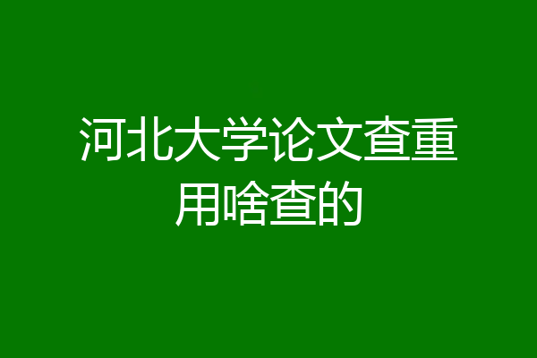 河北大学论文查重用啥查的