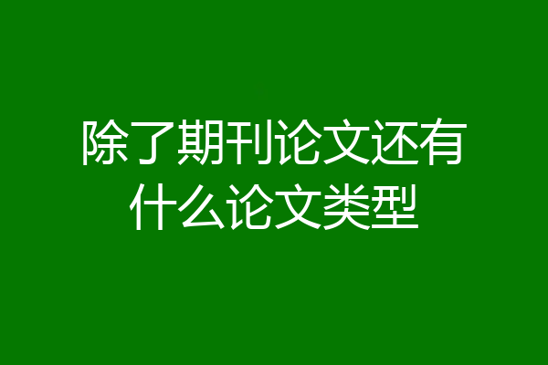 除了期刊论文还有什么论文类型