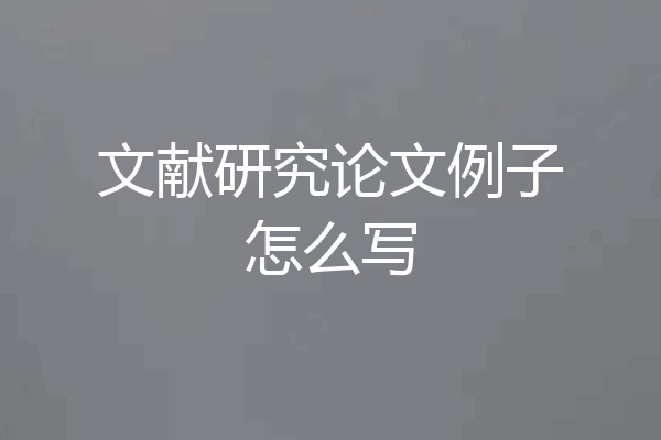文献研究论文例子怎么写