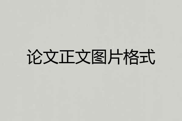 论文正文图片格式