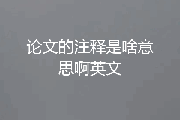 论文的注释是啥意思啊英文