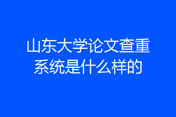 山东大学论文查重系统是什么样的