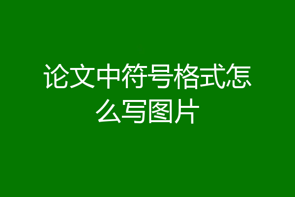 论文中符号格式怎么写图片