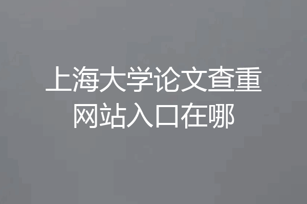 上海大学论文查重网站入口在哪