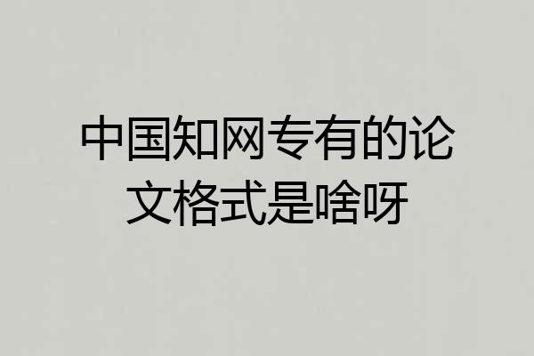 中国知网专有的论文格式是啥呀