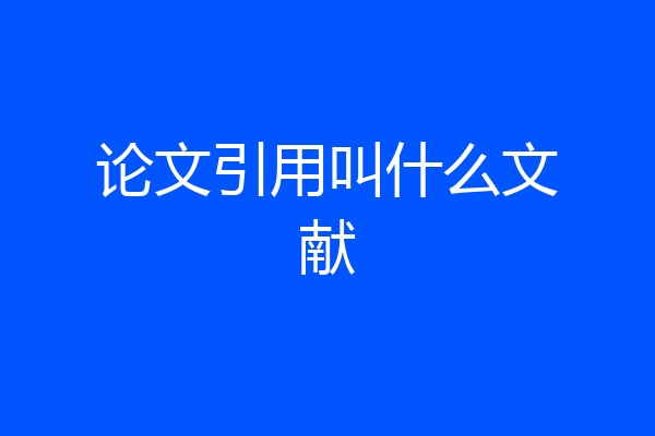 论文引用叫什么文献