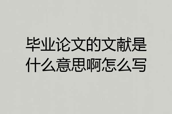 毕业论文的文献是什么意思啊怎么写