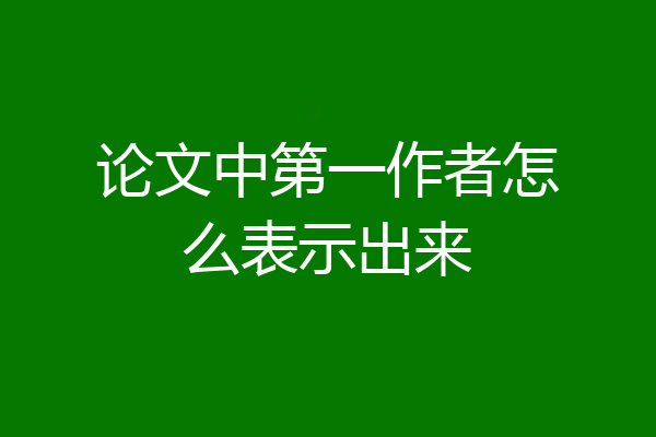 论文中第一作者怎么表示出来