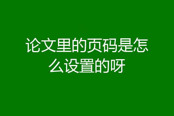 论文里的页码是怎么设置的呀