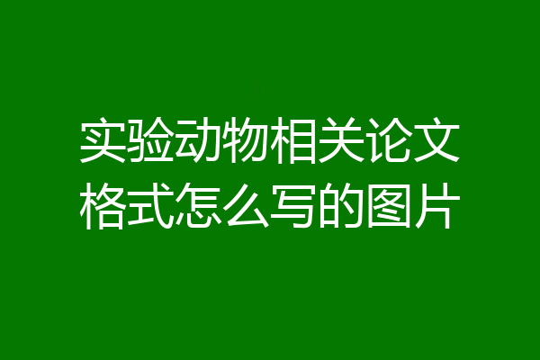 实验动物相关论文格式怎么写的图片
