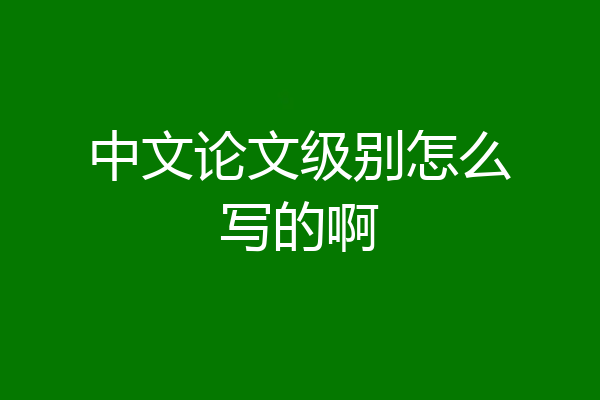 中文论文级别怎么写的啊