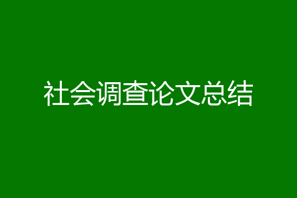 社会调查论文总结