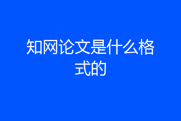 知网论文是什么格式的