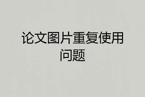 论文图片重复使用问题