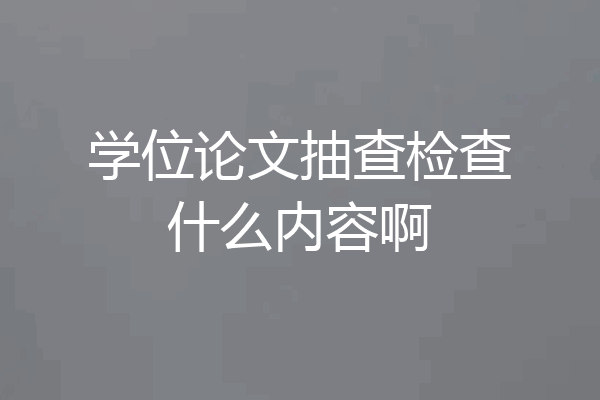 学位论文抽查检查什么内容啊