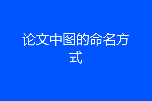 论文中图的命名方式