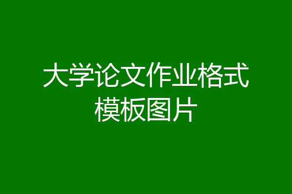 大学论文作业格式模板图片
