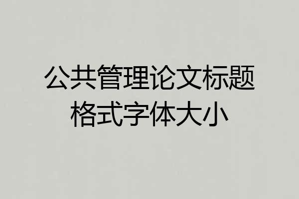 公共管理论文标题格式字体大小