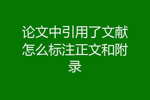论文中引用了文献怎么标注正文和附录