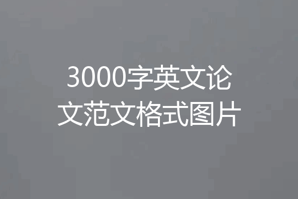 3000字英文论文范文格式图片