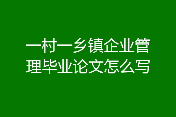 一村一乡镇企业管理毕业论文怎么写