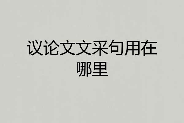 议论文文采句用在哪里