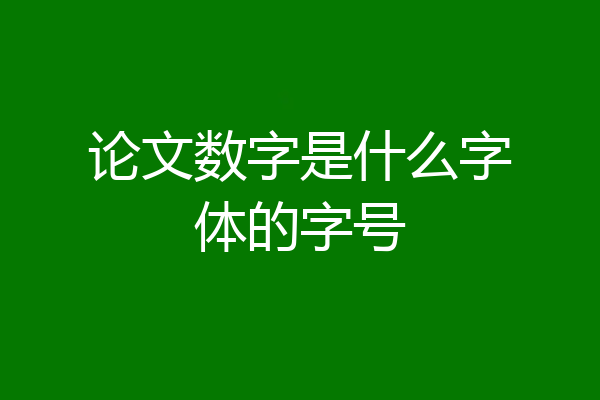 论文数字是什么字体的字号