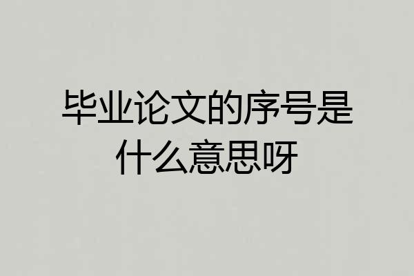 毕业论文的序号是什么意思呀