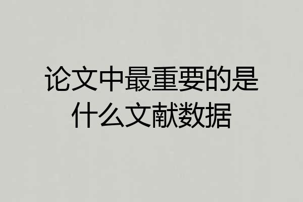 论文中最重要的是什么文献数据