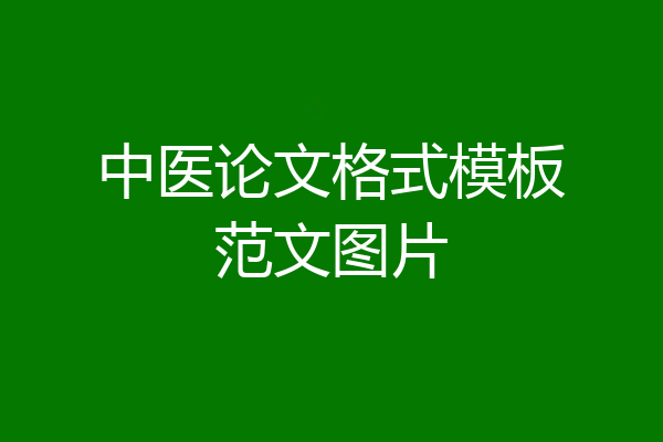 中医论文格式模板范文图片