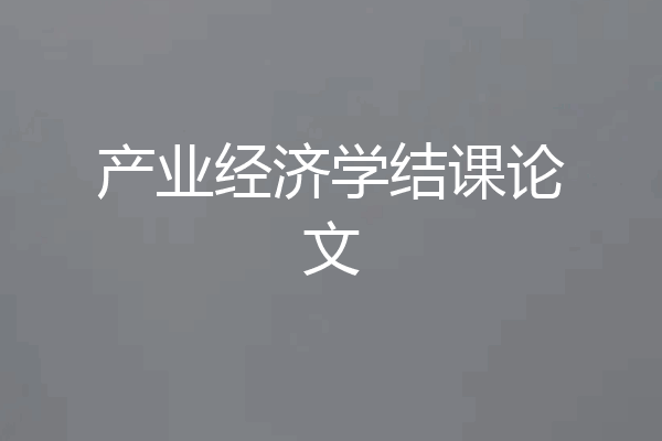产业经济学结课论文