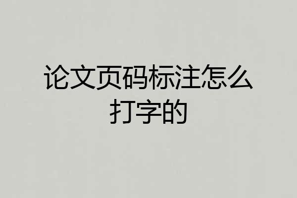 论文页码标注怎么打字的