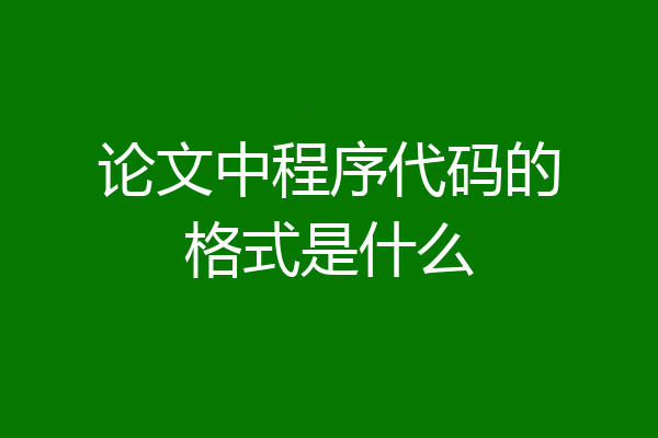 论文中程序代码的格式是什么